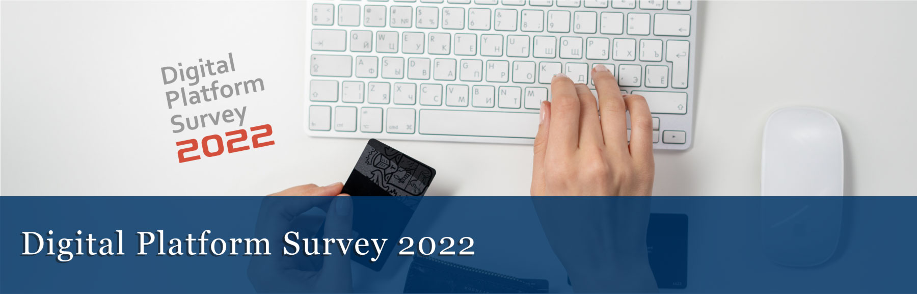 DIGITAL PLATFORM SURVEY 2022 - INAPP